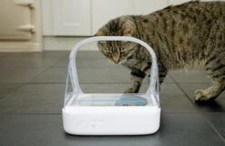 Surefeed Microchip Pet Feeder - Voerbak - 30 X 23 X 22 Cm 25 Surefeed Microchip Pet Feeder - Voerbak - 30 X 23 X 22 Cm -Huisdierbenodigdheden Serie 1200x780 3