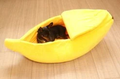 N/A Kattenhuis Banaan L - Hondenhuis Banaan L - 65x25x18 Cm - Kattenmand - Hondenmand - Dierenmand - Cadeau Kat 8 N/A Kattenhuis Banaan L - Hondenhuis Banaan L - 65x25x18 Cm - Kattenmand - Hondenmand - Dierenmand - Cadeau Kat -Huisdierbenodigdheden Serie 1200x799 10