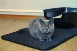 Merkloos Tastelio XXL Kattenbakmat 75x55cm - Groot Kattenbak Mat Met Innovatieve Honingraatstructuur - Dubbele Waterdichte Laag - Katten Bak Mat Met Eenvoudige Reiniging Grit Opvanger 21 Merkloos Tastelio XXL Kattenbakmat 75x55cm - Groot Kattenbak Mat Met Innovatieve Honingraatstructuur - Dubbele Waterdichte Laag - Katten Bak Mat Met Eenvoudige Reiniging Grit Opvanger -Huisdierbenodigdheden Serie 1200x799 16