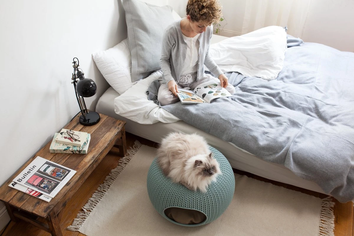 Curver Cozy Pet Home - Kattenmand - Crème - Ø 55 Cm 6 Curver Cozy Pet Home - Kattenmand - Crème - Ø 55 Cm - Afbeelding 6