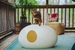 SinDesign Poopoopeedo Kattenbak - Zwart -Huisdierbenodigdheden Serie 1200x800 19