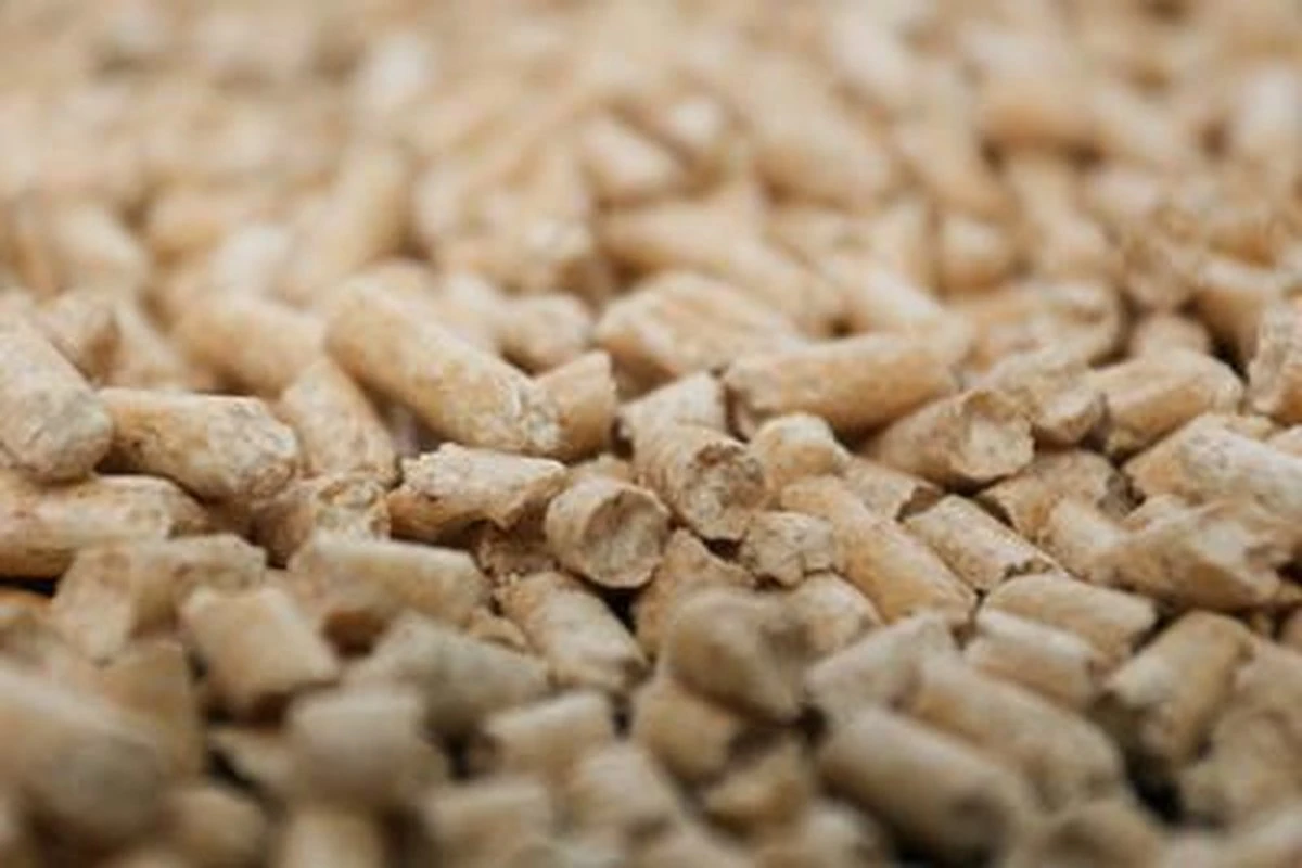 Peewee Houtkorrels Kattenbakvulling - 3 X 9 Kg (27 Kg, 42l) 2 Peewee Houtkorrels Kattenbakvulling - 3 X 9 Kg (27 Kg, 42l) - Afbeelding 2