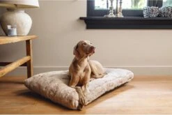 Designed By Lotte Hondenkussen Pluche Xanti Beige 100 X 68 X 5 Cm 6 Designed By Lotte Hondenkussen Pluche Xanti Beige 100 X 68 X 5 Cm -Huisdierbenodigdheden Serie 1200x804 1