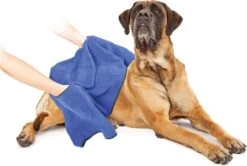 Duvo+ Hondenhanddoek 70 X 100 Cm 9 Duvo+ Hondenhanddoek 70 X 100 Cm -Huisdierbenodigdheden Serie 1200x808