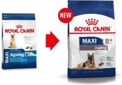 Royal Canin Maxi Ageing 8+ 15 KG -Huisdierbenodigdheden Serie 1200x836