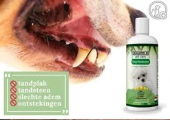Easy Mondwater Voor Honden - 237 Ml - Tegen Stinkende Adem - Tandplak - Tandsteen - Tandvleesproblemen -Huisdierbenodigdheden Serie 1200x852 4