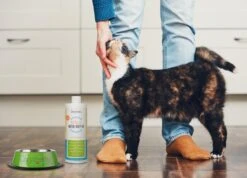 OxyFresh Pet Mondwater Hond En Kat. Helpt Tegen Tandsteen, Plak En Vieze Ademgeurtjes 7 OxyFresh Pet Mondwater Hond En Kat. Helpt Tegen Tandsteen, Plak En Vieze Ademgeurtjes -Huisdierbenodigdheden Serie 1200x864