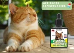 Natuurlijke Vlooiendruppels Voor Katten - Vanaf 4 Kg - 100% Natuurlijk - Vlooien - Zonder Giftige Pesticiden - 30 Ml - Speciale Formule Voor Katten - Vachtdruppels - Made In Holland -Huisdierbenodigdheden Serie 1200x872 6