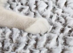 Merkloos Zelfverwarmende Dierendeken Zonder Stroom Thermo Deken Hond Kat Inclusief Adreslabel 70 X 47 Cm 14 Merkloos Zelfverwarmende Dierendeken Zonder Stroom Thermo Deken Hond Kat Inclusief Adreslabel 70 X 47 Cm -Huisdierbenodigdheden Serie 1200x878 1