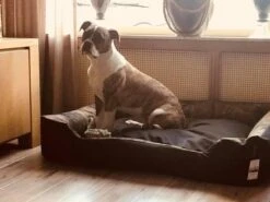 Hondenmand Cordura XXXL – Donkergrijs - 125 X 90 X 24 Cm 13 Hondenmand Cordura XXXL – Donkergrijs - 125 X 90 X 24 Cm -Huisdierbenodigdheden Serie 1200x900 18