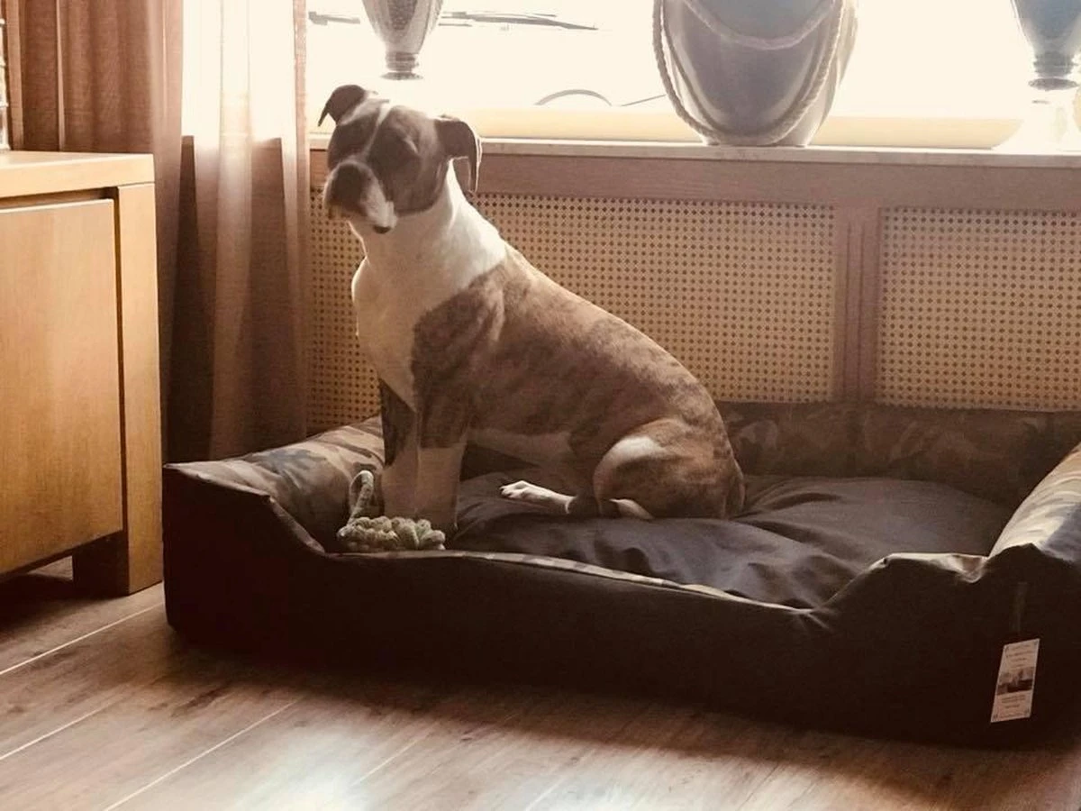 Hondenmand Cordura XXXL – Donkergrijs - 125 X 90 X 24 Cm 6 Hondenmand Cordura XXXL – Donkergrijs - 125 X 90 X 24 Cm - Afbeelding 6