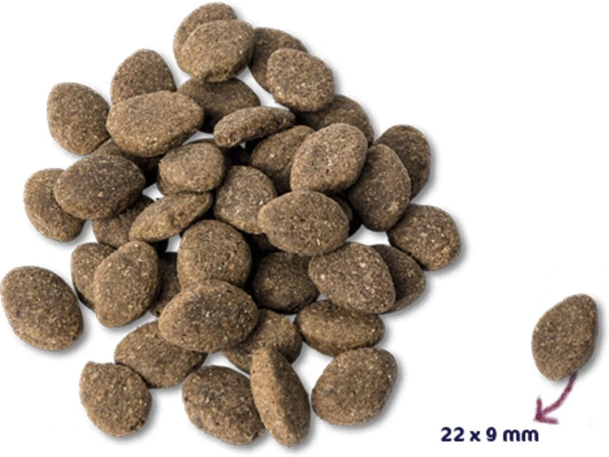 Renske Super Premium Adult Lam Graanvrij 12 KG 2 Renske Super Premium Adult Lam Graanvrij 12 KG - Afbeelding 2