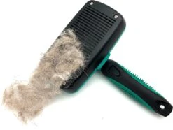 ElegaPet Hondenborstel Groen - Hondenhaar Verwijderen - Kat En Hondenkam - Slickerborstel Hond En Kat - Groomer - Ondervacht Kam Hond - Borstel Hond - Hondenborstel Langharig En Kortharig - Slickerborstel - Anti Klit/Knopen/Huidschilfers 12 ElegaPet Hondenborstel Groen - Hondenhaar Verwijderen - Kat En Hondenkam - Slickerborstel Hond En Kat - Groomer - Ondervacht Kam Hond - Borstel Hond - Hondenborstel Langharig En Kortharig - Slickerborstel - Anti Klit/Knopen/Huidschilfers -Huisdierbenodigdheden Serie 1200x902