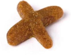 Prins VitalCare Indoor 10 Kg - Kat 28 Prins VitalCare Indoor 10 Kg - Kat -Huisdierbenodigdheden Serie 1200x922 1