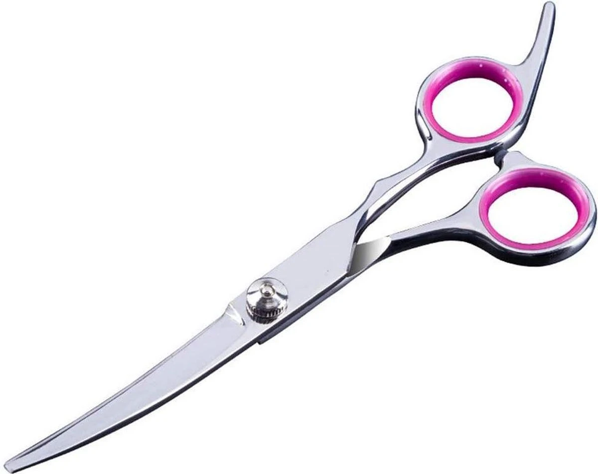 Professor Q - Hondenschaar Krom - Krommende Hondenschaar Rechts - Professionele Hondenschaar 2 Professor Q - Hondenschaar Krom - Krommende Hondenschaar Rechts - Professionele Hondenschaar - Afbeelding 2