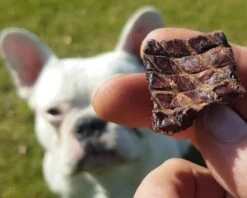 Topdiervoeding Runderlong Hondensnacks - Vers Gedroogd - Knapperig - 1 KG 9 Topdiervoeding Runderlong Hondensnacks - Vers Gedroogd - Knapperig - 1 KG -Huisdierbenodigdheden Serie 1200x960 3