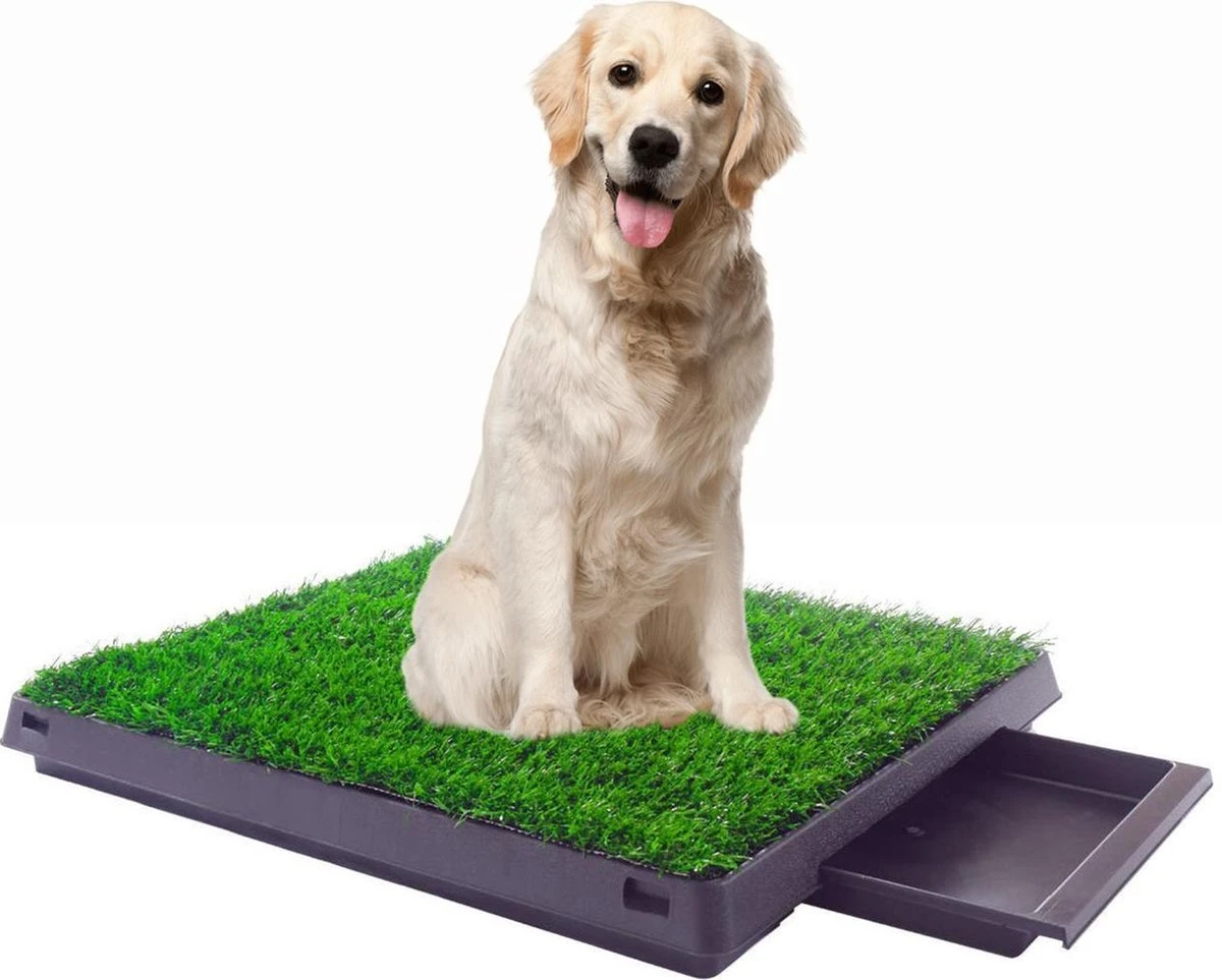 Merkloos Maoo Premium Hondentoilet - Geurbestendig & Hondvriendelijk Kunstgras - Uitneembare Opvangbak - Indoor En Outdoor - 63 X 50 Cm 1 Merkloos Maoo Premium Hondentoilet - Geurbestendig & Hondvriendelijk Kunstgras - Uitneembare Opvangbak - Indoor En Outdoor - 63 X 50 Cm