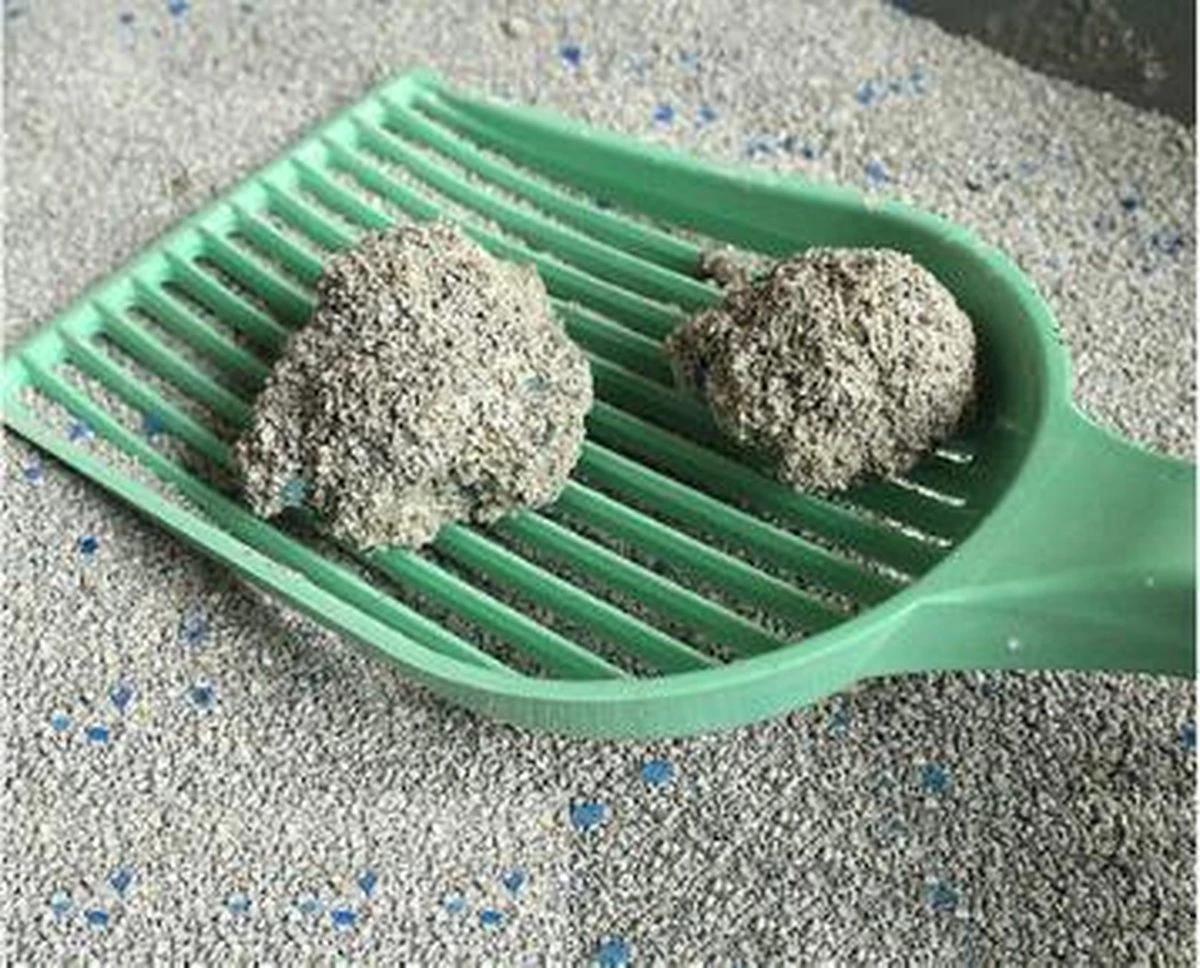 Merkloos Pet-Earth Golden Grey Master - Kattenbakvulling - Perfecte Klontvorming - 2 X 14 Kg 3 Merkloos Pet-Earth Golden Grey Master - Kattenbakvulling - Perfecte Klontvorming - 2 X 14 Kg - Afbeelding 3