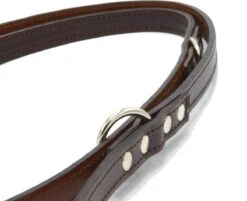 Verstelbare Trainingslijn Leer - 2 Meter - Bruin - Politielijn - Hondenriem - Hoge Kwaliteit Leer - Trainingslijn - Ambachtelijk Gemaakt In Portugal 8 Verstelbare Trainingslijn Leer - 2 Meter - Bruin - Politielijn - Hondenriem - Hoge Kwaliteit Leer - Trainingslijn - Ambachtelijk Gemaakt In Portugal -Huisdierbenodigdheden Serie 1200x975