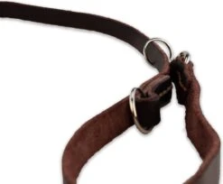 Multifunctionele Hondenriem - 220cm - Bruin - Leren Hondenriem - 100% Volnerfleer - Hondenriem Leer - Leiband Hond -Huisdierbenodigdheden Serie 1200x993