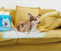 Nobleza 48LXB - Puppy Training Pads - 60 X 90 Cm - Zindelijkheidstraining - 100 Stuks 12 Nobleza 48LXB - Puppy Training Pads - 60 X 90 Cm - Zindelijkheidstraining - 100 Stuks -Huisdierbenodigdheden Serie 1200x997