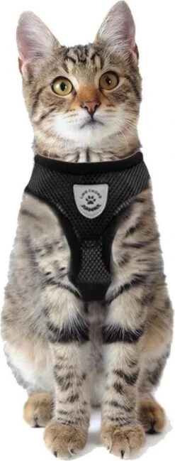 Merkloos Kattentuigje Met Looplijn | Zwart Kattenharnas | Easy Step In | Kattenriem | Kattenlijn | Kattentuig | Maat S -Huisdierbenodigdheden Serie 457x1200