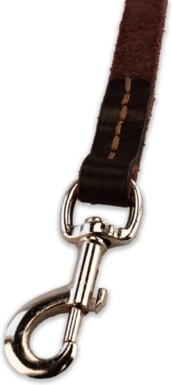 Multifunctionele Hondenriem - 220cm - Bruin - Leren Hondenriem - 100% Volnerfleer - Hondenriem Leer - Leiband Hond -Huisdierbenodigdheden Serie 536x1200