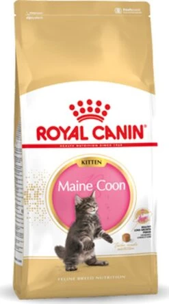 Royal Canin Maine Coon Kitten - Kattenvoer - 4 Kg -Huisdierbenodigdheden Serie 668x1200