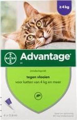 Advantage 80 Vlooiendruppelsl Kat Vanaf 4 Kg - 4 Pipetten 7 Advantage 80 Vlooiendruppelsl Kat Vanaf 4 Kg - 4 Pipetten -Huisdierbenodigdheden Serie 773x1200 1