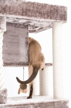 Petrebels Lodge 107 Krabpaal - Cappuccino - Design - Zeer Stabiel -Huisdierbenodigdheden Serie 800x1200 10