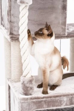 Petrebels Lodge 107 Krabpaal - Cappuccino - Design - Zeer Stabiel -Huisdierbenodigdheden Serie 800x1200 11