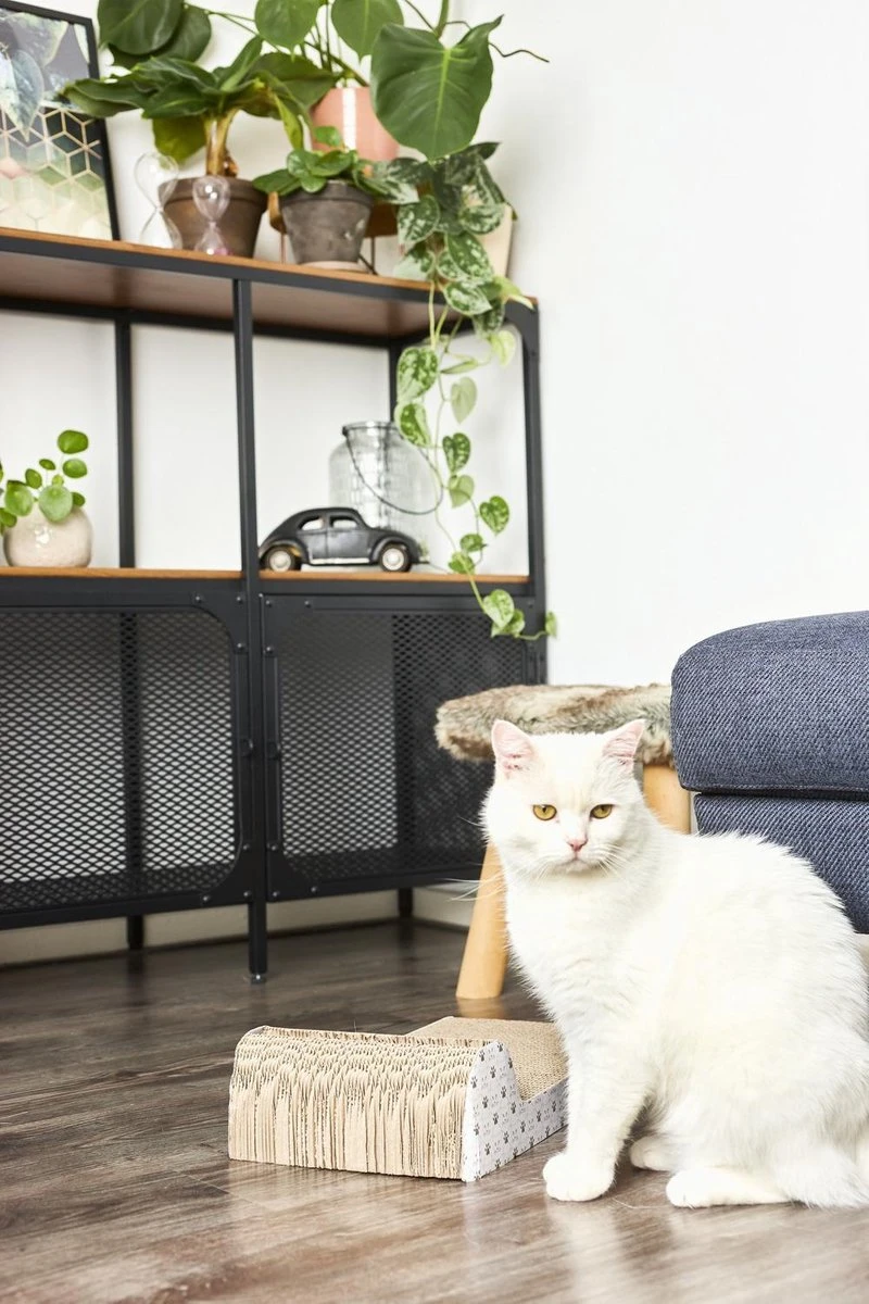 Adori Krabplank Met Spel - Krabpaal - 45x25x11 Cm 2 Adori Krabplank Met Spel - Krabpaal - 45x25x11 Cm - Afbeelding 2