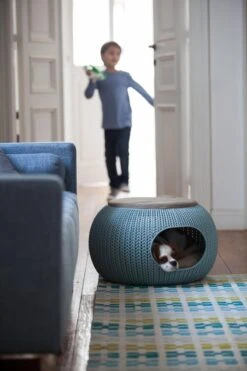 Curver Cozy Pet Home - Kattenmand - Crème - Ø 55 Cm 11 Curver Cozy Pet Home - Kattenmand - Crème - Ø 55 Cm -Huisdierbenodigdheden Serie 800x1200 4