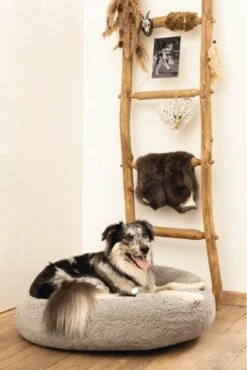 Beeztees Orthopedische Hondenmand Jaxx Grijs 70 Cm - Hond 7 Beeztees Orthopedische Hondenmand Jaxx Grijs 70 Cm - Hond -Huisdierbenodigdheden Serie 801x1200