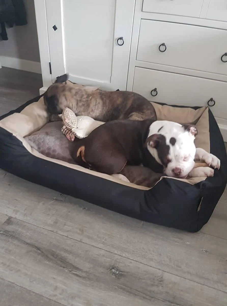 Hondenmand Cordura XXXL – Donkergrijs - 125 X 90 X 24 Cm 8 Hondenmand Cordura XXXL – Donkergrijs - 125 X 90 X 24 Cm - Afbeelding 8