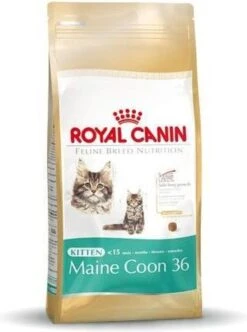 Royal Canin Maine Coon Kitten - Kattenvoer - 4 Kg -Huisdierbenodigdheden Serie 893x1200 2