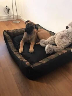 Hondenmand Cordura XXXL – Donkergrijs - 125 X 90 X 24 Cm 12 Hondenmand Cordura XXXL – Donkergrijs - 125 X 90 X 24 Cm -Huisdierbenodigdheden Serie 900x1200 9