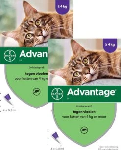 Bayer Advantage 80 Kat 4 Pip - Anti Vlooienmiddel - 2 X 0.8 Ml - > 4 Kg 5 Bayer Advantage 80 Kat 4 Pip - Anti Vlooienmiddel - 2 X 0.8 Ml - > 4 Kg -Huisdierbenodigdheden Serie 965x1200