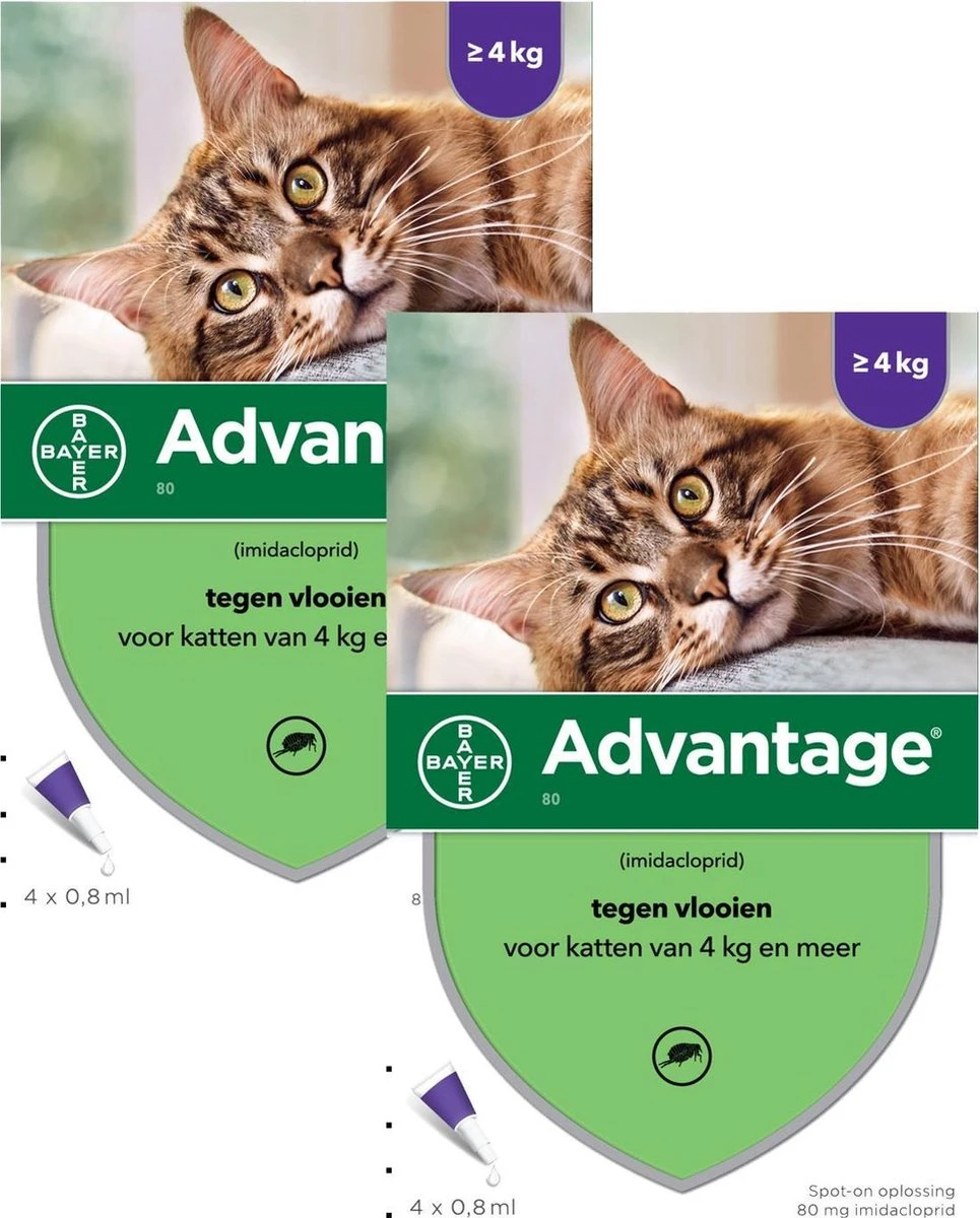 Bayer Advantage 80 Kat 4 Pip - Anti Vlooienmiddel - 2 X 0.8 Ml - > 4 Kg 3 Bayer Advantage 80 Kat 4 Pip - Anti Vlooienmiddel - 2 X 0.8 Ml - > 4 Kg - Afbeelding 3