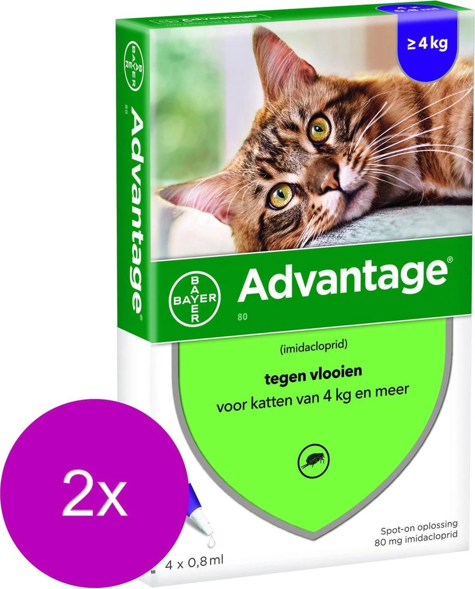 Bayer Advantage 80 Kat 4 Pip - Anti Vlooienmiddel - 2 X 0.8 Ml - > 4 Kg 1 Bayer Advantage 80 Kat 4 Pip - Anti Vlooienmiddel - 2 X 0.8 Ml - > 4 Kg
